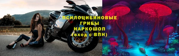 круглые Алзамай