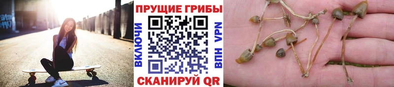 Псилоцибиновые грибы прущие грибы Лабытнанги