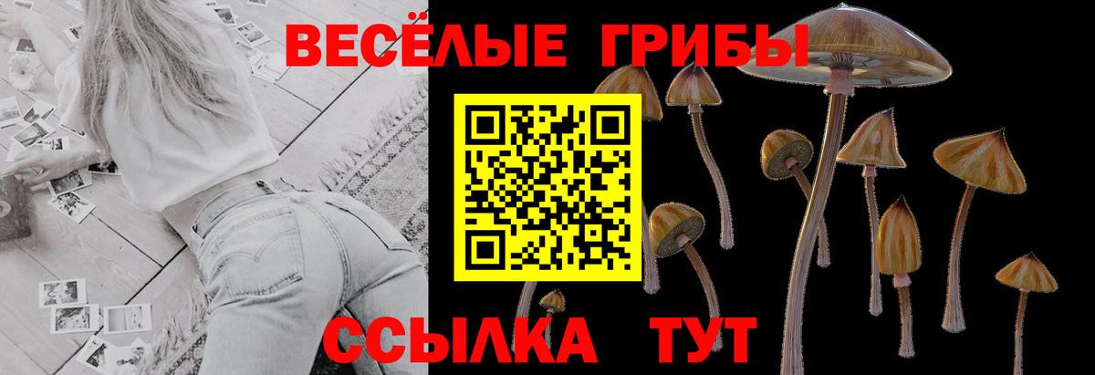 Галлюциногенные грибы GOLDEN TEACHER  Галлюциногенные грибы мухоморы  Лабытнанги  Вход с VPN 